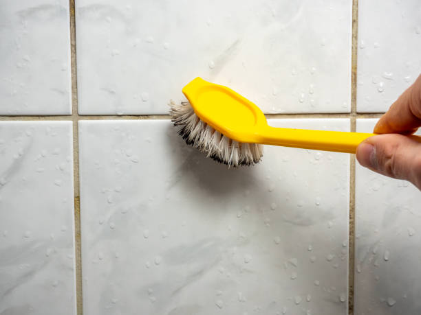 Best Post-Flood Mold Remediation in El Portal, FL