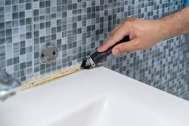 Professional Mold Remediation in El Portal, FL